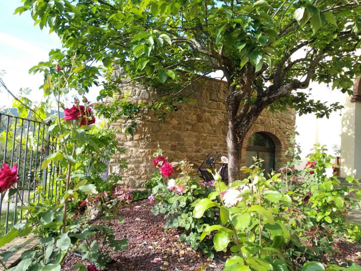 Da Vinci Sweet Home Castiglion Fibocchi Eksteriør bilde